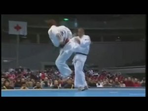 Киокушинкай карате. Чемпионат японии 2008. Лучшее!!!
