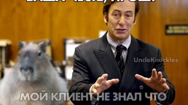 Вся жизнь капибары в 3-х видео от дяди накалза смотреть онлайн