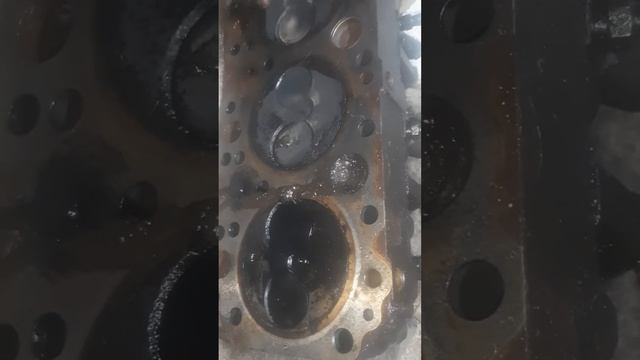 мтз 1221 вскрыли головку был стук  #врекомендации #беларус #сельскоехозяйство #трактор #мтз #врек