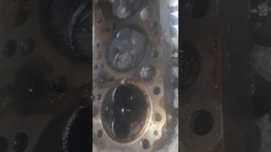 мтз 1221 вскрыли головку был стук  #врекомендации #беларус #сельскоехозяйство #трактор #мтз #врек