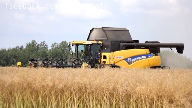 Żniwa 2014 Operacja Pacierzów I Zagórze