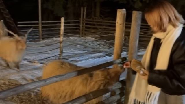 Амелька Карамелька в Буковеле и во Львове! смотреть онлайн