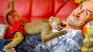 МИЛОТА! Влад привез Люську домой на обед, а она ОБНЯЛА его и ЗАСНУЛА