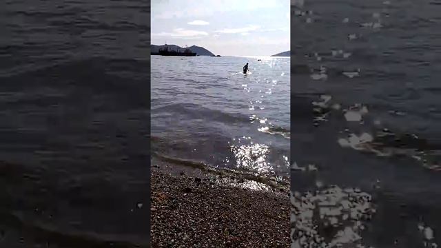 Дети купаются в бухте Нагаева смотреть онлайн