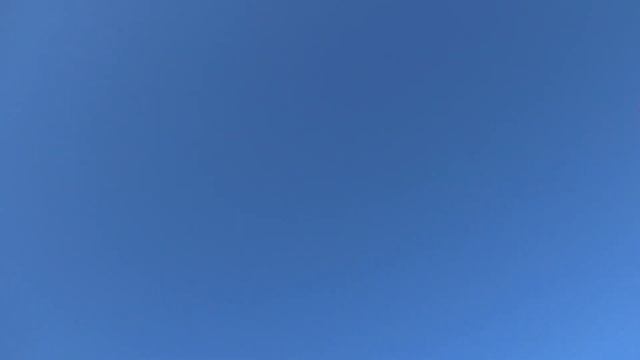 Голуби на полигоне после отдыха! смотреть онлайн