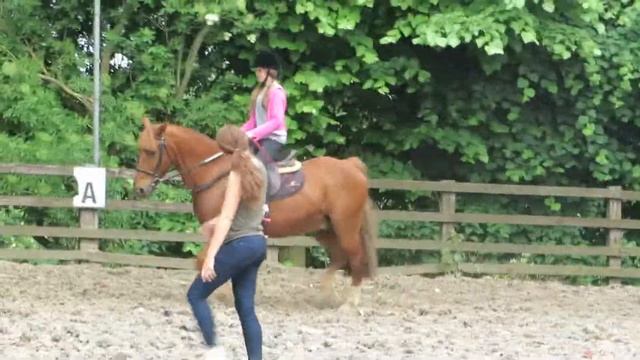 Maia horse riding 27 May 2018b смотреть онлайн