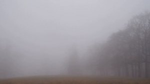 ТУМАН ТУМАН ТУМАН Футаж