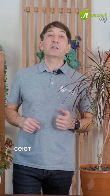 Посейте флоксы на рассаду! смотреть онлайн