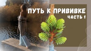 Прививка хвойных🌲ЧАСТЬ1🌲Пошла на онлайн-курс. Что из этого выйдет?