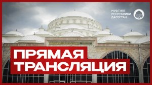 ПРЯМАЯ ТРАНСЛЯЦИЯ
