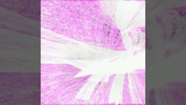 Крэкс -Фэкс - Пэкс смотреть онлайн