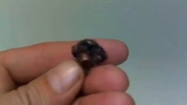 деформация пули кентавр.mp4 смотреть онлайн