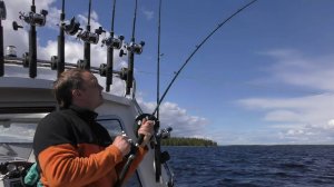 Как чайники неделю рыбачили на катере Silver Eagle Cabin 650.