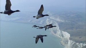 BBC: Мир с высоты птичьего полёта 3 серия «Европа» (документальный сериал, 2011)