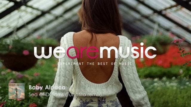 Baby Alpaca - Sea Of Dreams (Turbotito Remix) смотреть онлайн
