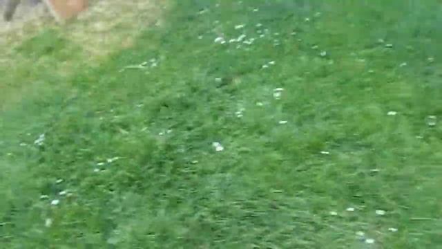 Mantis crossbow shooting 450grn bolt with boltsonic broadhead at 2 pieces of plywood смотреть онлайн
