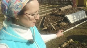 14 марта 2025 года на огороде было 18 градусов тепла. Ивановская область.