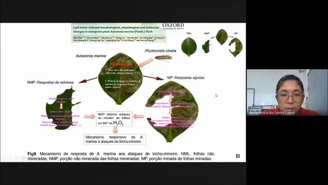 Desenvolvimento e reprodução de Bedellia somnulentella em seis espécies de Ipomoea. смотреть онлайн