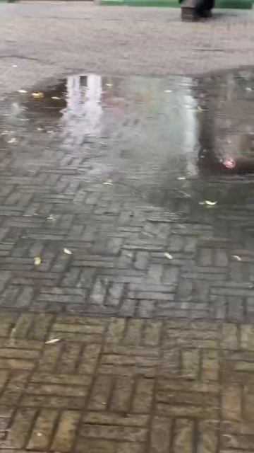 По главной улице Челябинска течет канализация смотреть онлайн