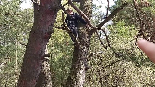 Сходили в лес и...нашли трубу???*Влог* смотреть онлайн