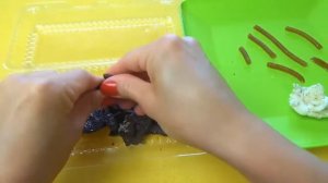 ПРАНКИ над ЛЮДОЙ №3 КОШАЧИЙ КОРМ ЧЕРВИ ХЛОПУШКА над дверью Фонтан из Coca-Cola Луков...