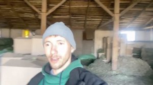 Веники это бизнес или работа?| Заработки на вениках| заготовка Веников