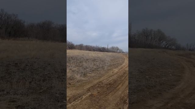 Участок Дубовка ул.Приволжская