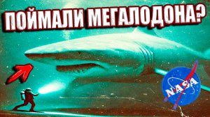 Мегалодон находится в подводной тюрьме НАСА для доисторических морских хищников?