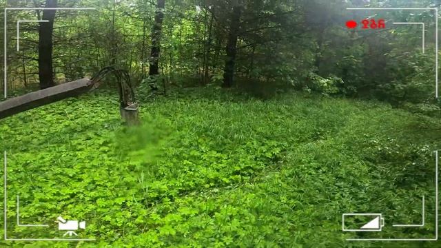 Не вошедшее. Полигон "Серые Волки" смотреть онлайн