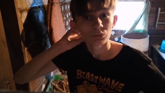 Срочно пасмотри. Я говорю кагда. Я выйду гулять с плащём смотреть онлайн