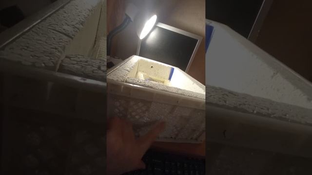 у атома не заканчиваются идеи переделка инкубатора #1 смотреть онлайн