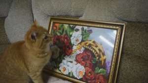 Вышивка крестиком по канве с нанесённым рисунком