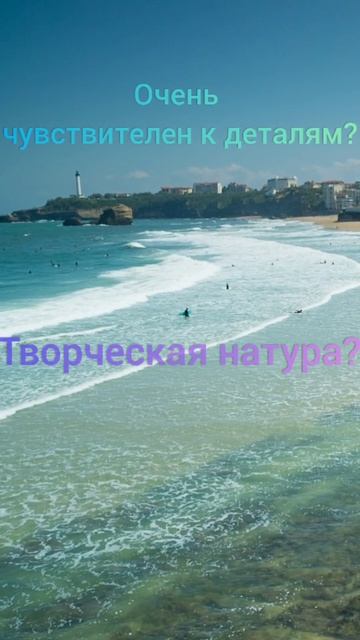 Тип темперамента Меланхолик