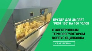 🔥НОВИНКА 2025! Идеальный дом для птенцов! Брудер "Prof 100" с электронным терморегулятором
