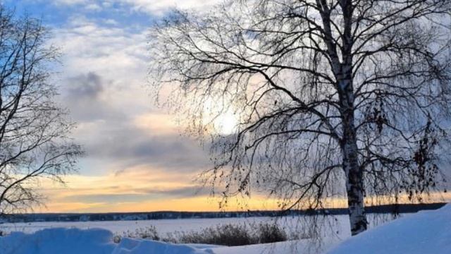 Зимние зарисовки смотреть онлайн
