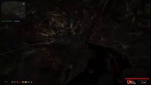 Сталкер путь человека найти тайник в ТД для Савченко