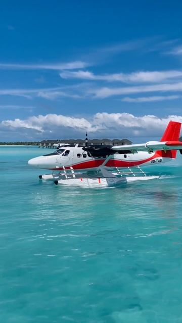 Seaplane Maldives #maldives #seaplane #airplane #shorts смотреть онлайн