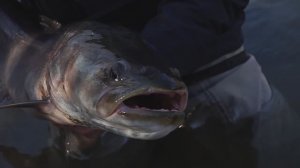 "ШКОЛА НАХЛЫСТА" Урок № 11.