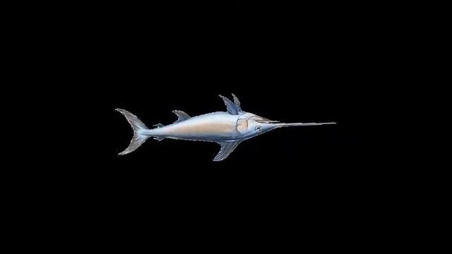 Swordfish смотреть онлайн