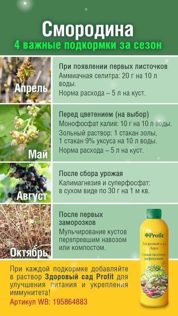 Всего 4 подкормки за сезон и смородина засыплет ягодами! Сохраняйте в закладки! Календарь подкормок смотреть онлайн