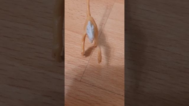 Вся правда о велоцирапторе