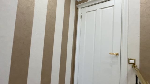 Баррикад 60/6