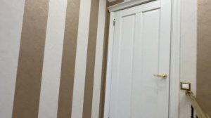 Баррикад 60/6