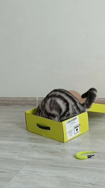 Новая коробка