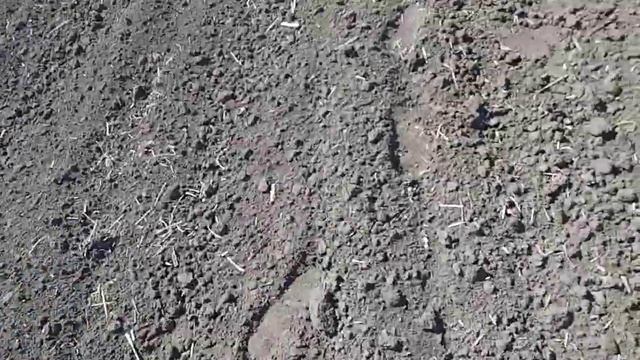 Боронование мтз 892 смотреть онлайн