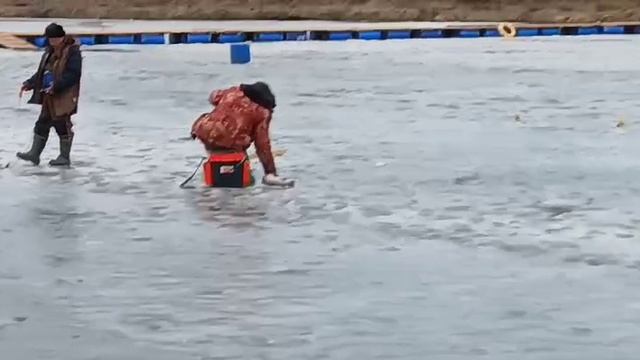 14-03-2025 смотреть онлайн