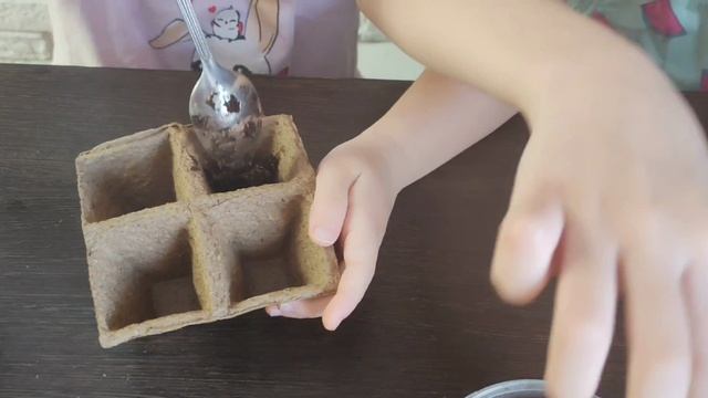 Полина и Алиса