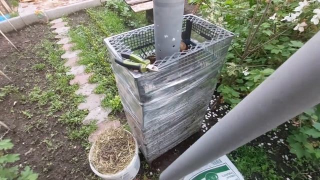 Посадка картофеля в ящики, эксперимент 2я часть смотреть онлайн