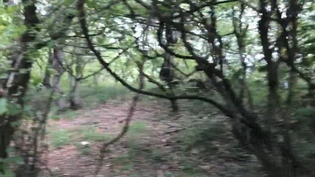 Вышли на прогулку// Отвечаю на вопросы// Дагестан// Отпуск 2020// смотреть онлайн