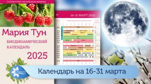 Календарь Марии Тун на вторую половину марта 2025